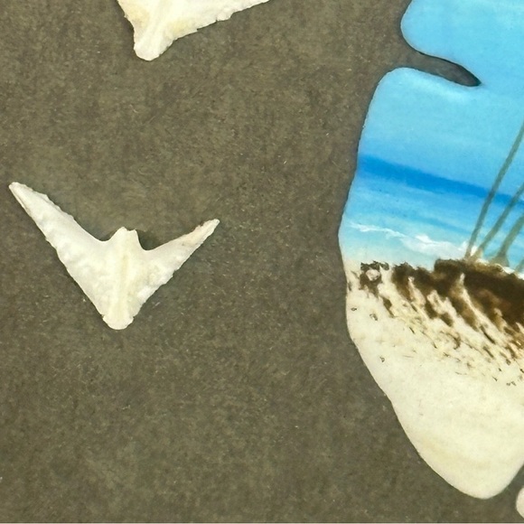 Sand Dollar Mystery Framed Shadow Box Art 9 in X 11 in Real Painted Sand Dollar - Picture 6 of 8